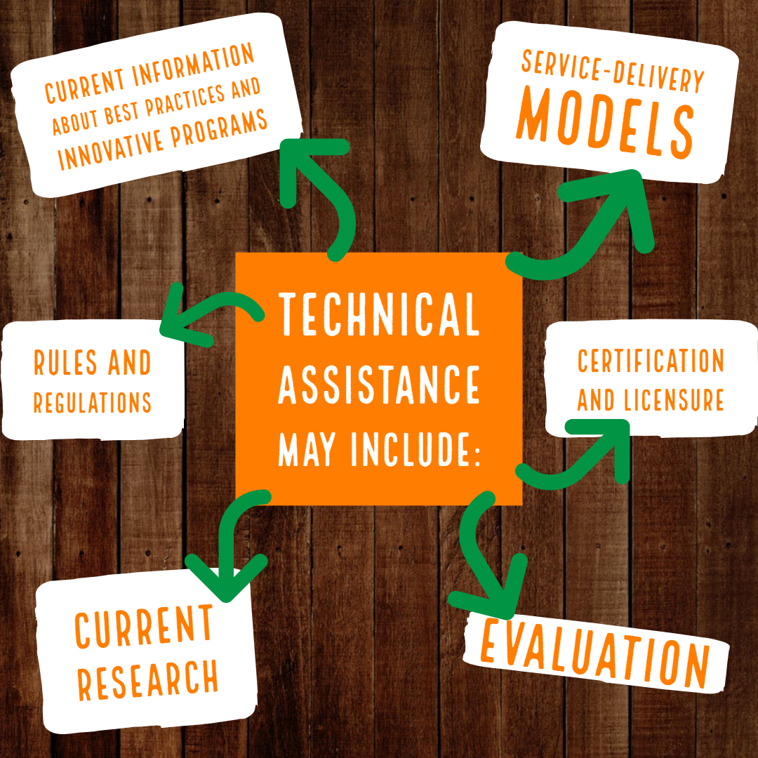 Speech Language Pathology technical assistance