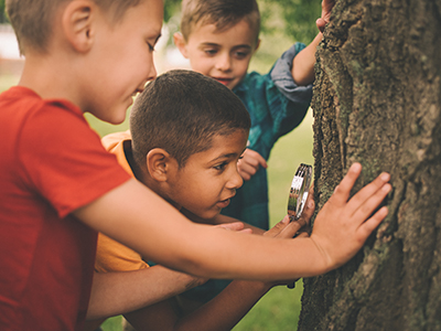 Boys with magnifying glass exploring tree trunk