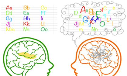 drawing of two brains. One sees letters normally. Other brain sees mixed up letters like with Dyslexia