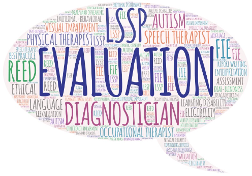 word cloud diagnostician lssp evaluation words